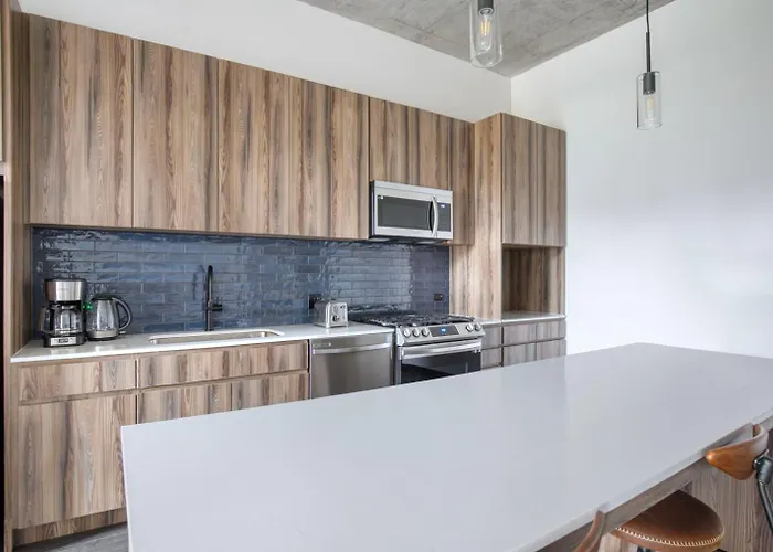 Apartment Blueground West Loop Roof Gym Grills Nr Park Chi-1061 *