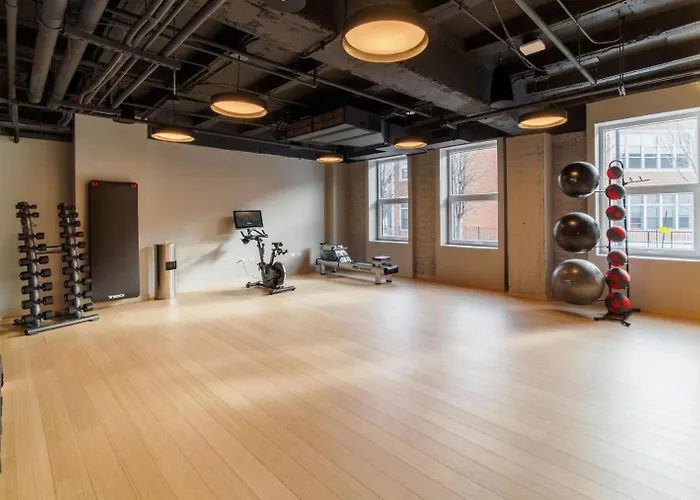 Apartment Blueground West Loop Roof Gym Grills Nr Park Chi-1061 Chicago
